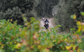 Opposition au passage de la « Cathare Moto Trail » : un maire ne peut interdire de façon générale la circulation des véhicules motorisés sur le territoire communal pendant la durée de l’évènement 